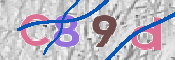 Immagine CAPTCHA