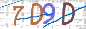 Immagine CAPTCHA